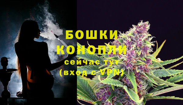 кокс Бородино