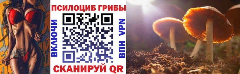 даркнет сайт  Буйнакск  Псилоцибиновые грибы ЛСД 